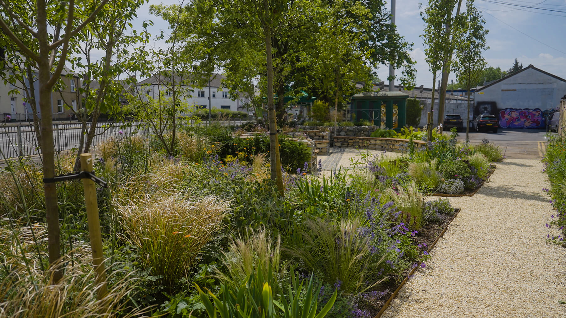 Before image of the main pedestrian route on the Greening Maindee Gateway garden in Newport