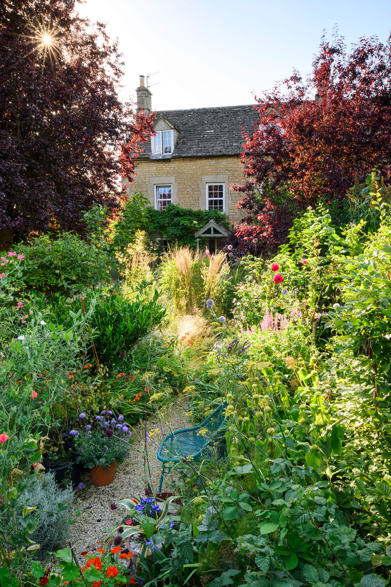 The No Lawn Front Garden - after transformation