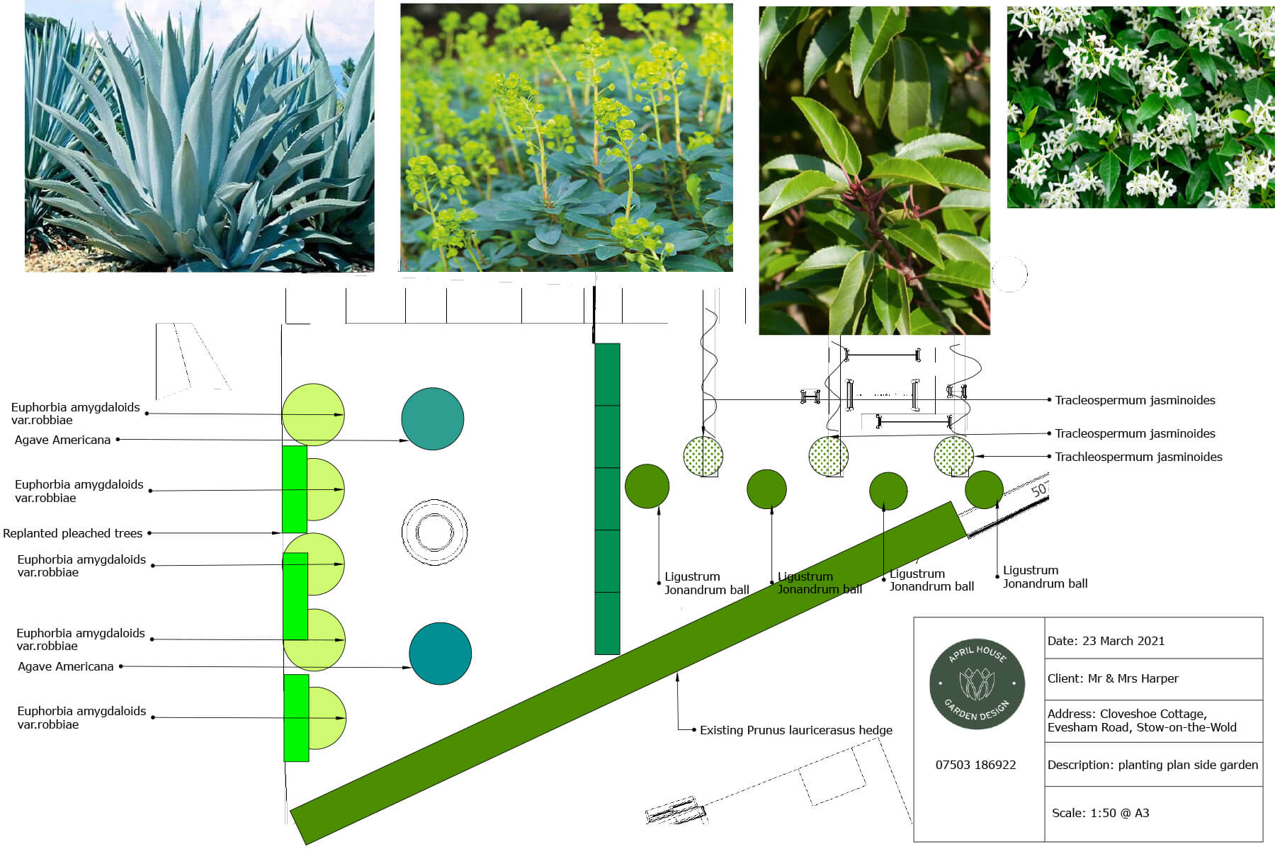 An example of a master layout plan for part of a garden